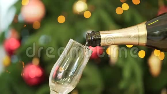 特写香槟倒入酒杯背景上的圣诞树将香槟倒入玻璃的特写镜头视频的预览图