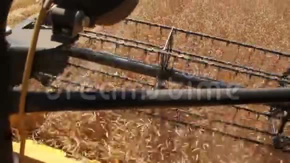 联合收割机割麦子的转子视频的预览图