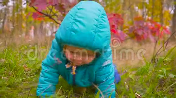 一岁的男孩沿着秋天的公园爬行万向节视频的预览图