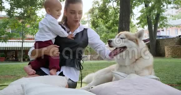 家庭和宠物穿着西装的小男孩在公园的草地上抚摸着哈士奇视频的预览图