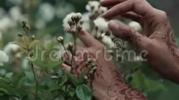 带有阿拉伯图案的女性双手触摸花园中盛开的植物视频的预览图