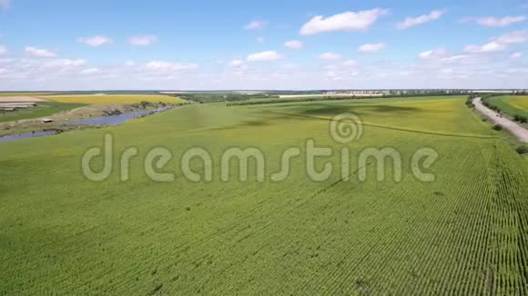 空中射击一片有湖的绿野和一条汽车行驶的道路视频的预览图