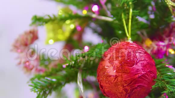 圣诞节装饰用杉树的足迹视频的预览图