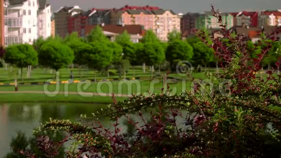 美丽的德国村庄景色绿色广场上有一个湖泊和城市景观湖边绿树成荫视频的预览图