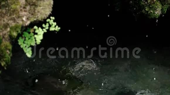 慢镜头在一个小洞穴里滴入水中视频的预览图