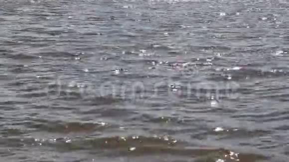 河水的怒涛作为背景视频的预览图