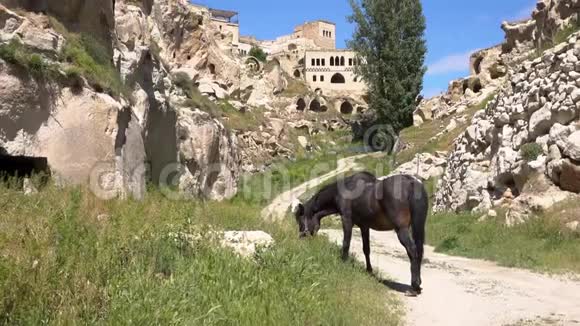 高清镜头在岩石中的城市里的马慢动作视频的预览图