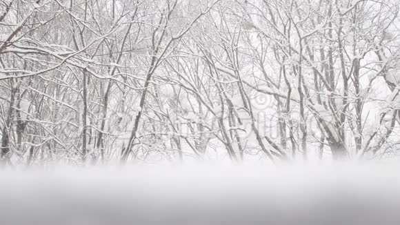 冬季下雪时的自然背景视频的预览图