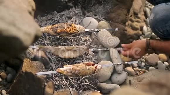 提供烧烤户外煮鱼野营和绿色旅游的渔民视频的预览图