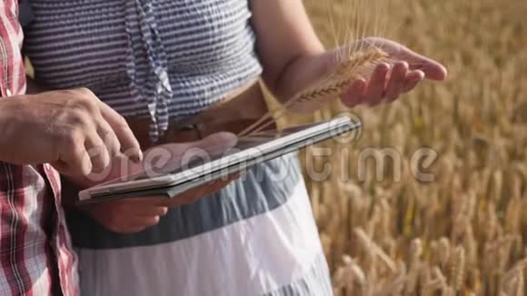 农民夫妇使用数字平板电脑成熟麦田视频的预览图