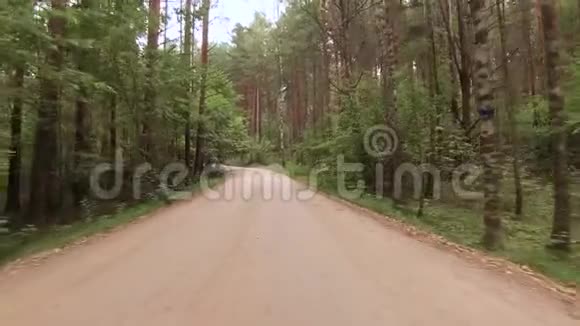 汽车在穿过森林的柏油路上行驶视频的预览图