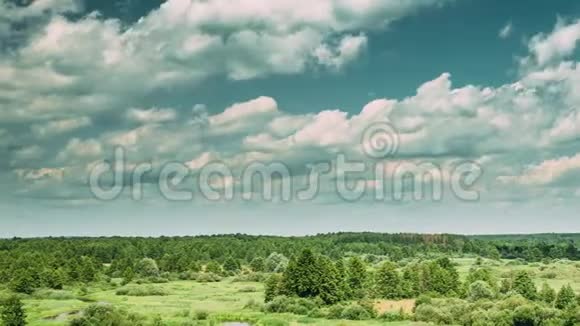 欧洲风景优美的天空下夏日的草地和森林景观云雾缭绕时间流逝时间流逝时间流逝视频的预览图