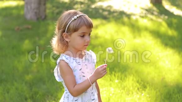公园里一个带蒲公英的小女孩的肖像视频的预览图