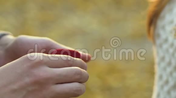 男人把银色订婚戒指戴在女人手上在秋天公园求婚视频的预览图