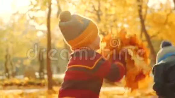 孩子们正在秋天公园玩落叶视频的预览图