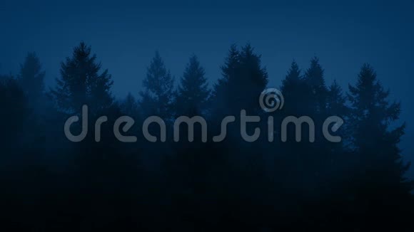 薄雾笼罩森林树木在夜晚视频的预览图