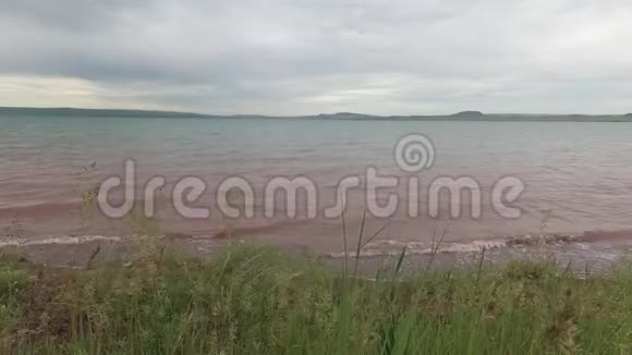 草原上的草在湖岸的风中摇曳视频的预览图