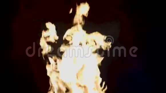 黑色背景上明亮的火焰美丽但危险的火焰会引起火灾或燃烧人发光视频的预览图