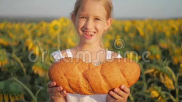 特写小女孩在向日葵的田野里吃面包女孩在户外吃面包视频的预览图