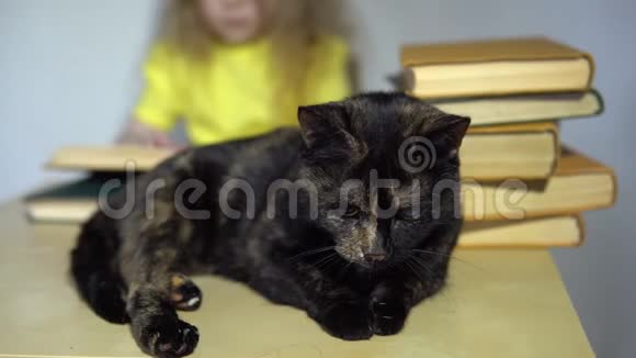 一只黑猫坐在一张桌子上后面有一个孩子在看书视频的预览图