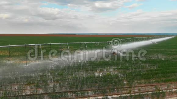 工业农业4K航空视野夏季用农作物灌溉圆田视频的预览图