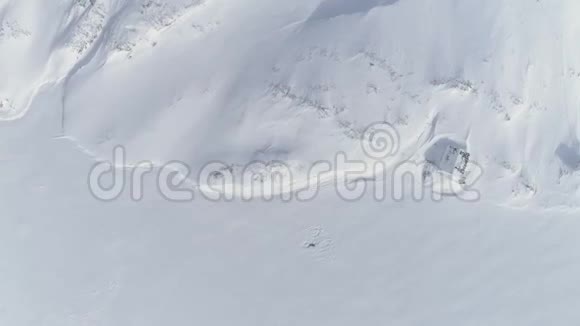 南极洲婴儿成人威德尔海豹缩小空中视频的预览图