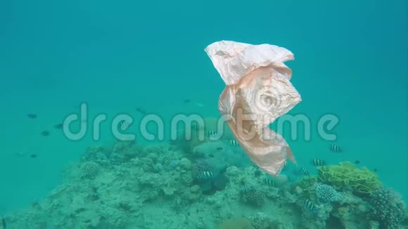 垃圾塑料袋漂浮在红海的珊瑚礁上视频的预览图