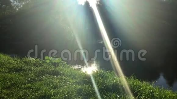 阳光照在水边的草坪上视频的预览图