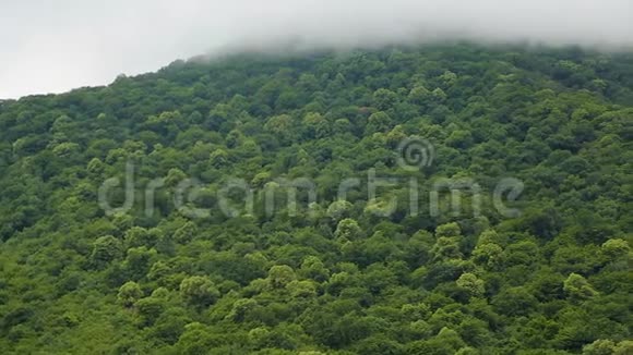 柔软的云层笼罩着巨大的绿色山丘充满氧气使环境饱和视频的预览图