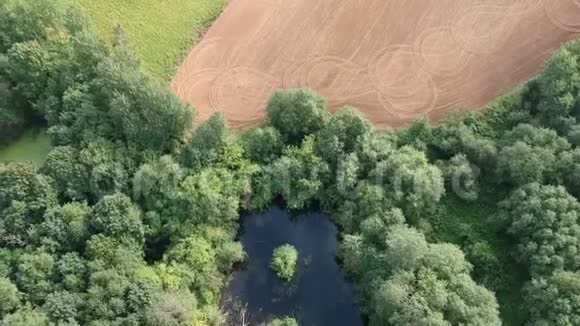 夏季农田景观有犁田小树林和小池塘空中视频的预览图