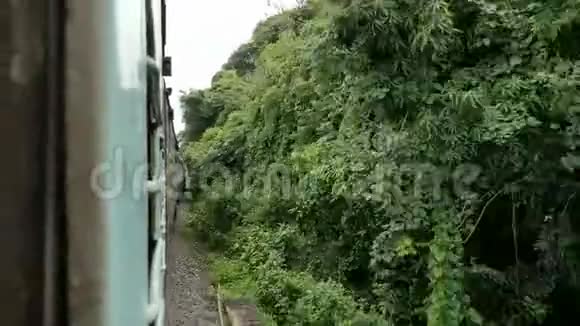 乘火车穿过热带森林视频的预览图