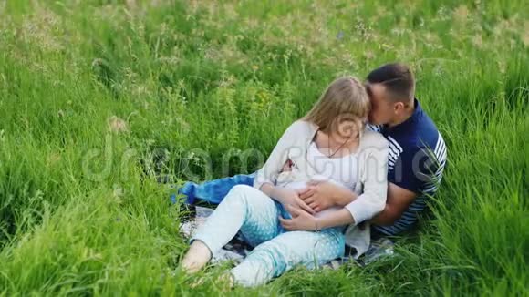 年轻的一家人在绿色的草地上休息女人怀孕了视频的预览图