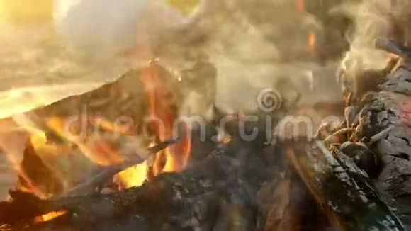 篝火日黎明沙漠视频的预览图