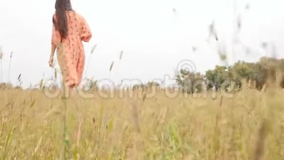 一个女孩穿过草地慢动作视频的预览图