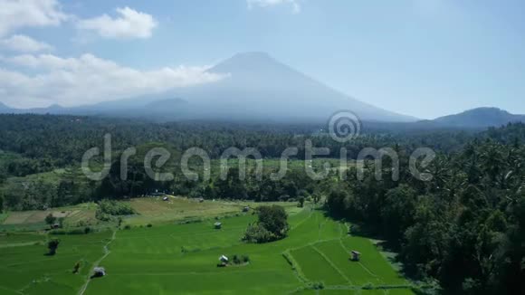 巴厘岛火山和美丽田野景观的鸟瞰图视频的预览图