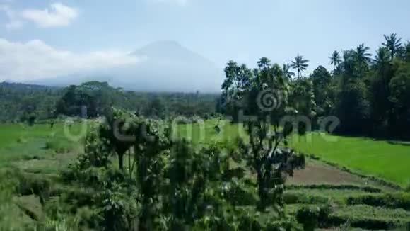 巴厘岛火山和美丽田野景观的鸟瞰图视频的预览图