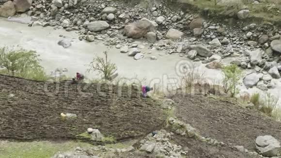 当地的尼泊尔人在地里犁地马纳斯鲁电路跋涉区视频的预览图