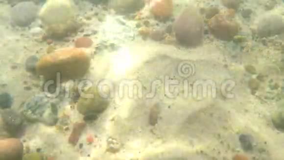 波罗的海的水下世界有卵石沙子和太阳视频的预览图