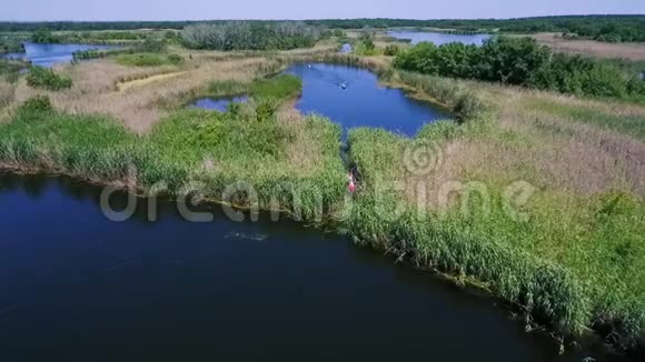 空中射击两艘皮艇在河上的芦苇丛中相互漂浮视频的预览图