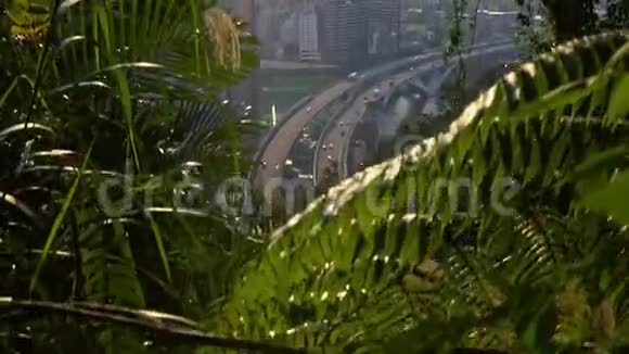 台北市森林交通车4K鸟瞰公路桥视频的预览图