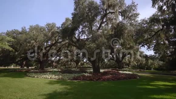 布鲁克格林花园南卡罗来纳州美国视频的预览图