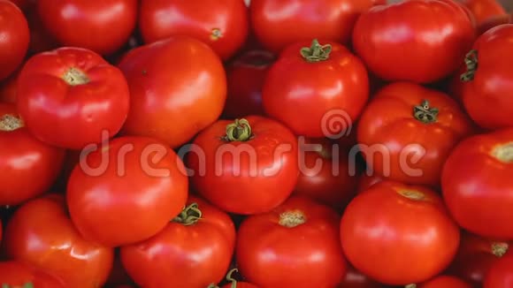 品种丰富的新鲜蔬菜接近丰收格鲁吉亚食品视频的预览图