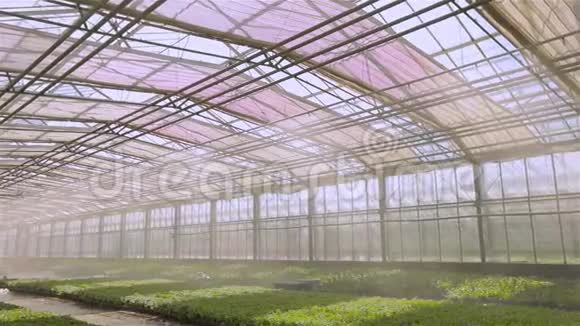 温室内植物自动浇水系统现代温室内灌溉灌溉系统这就是视频的预览图