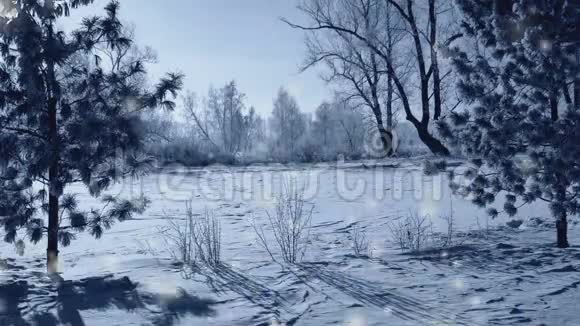 阳光明媚的冬日城市公园下雪视频的预览图