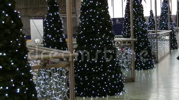 圣诞节前慕尼黑火车站为圣诞车站精心装饰装饰的圣诞树视频的预览图