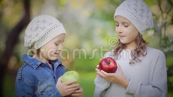 两个小女孩在盛开的公园里吃红绿苹果视频的预览图
