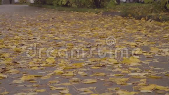 秋天的城市公园里落叶视频的预览图