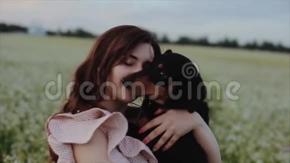时髦漂亮的女孩穿着时尚的夏装黑色波浪发野地里有狗狗阳光下有花视频的预览图