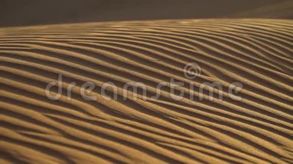 阿拉伯联合酋长国Atv骑行期间迪拜沙漠视频的预览图