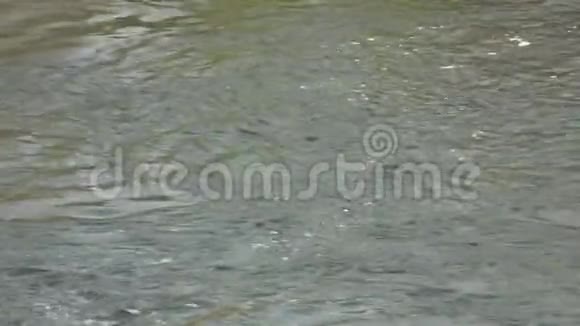 快速流动的水和河流中的气泡视频的预览图